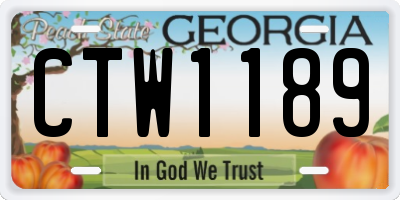 GA license plate CTW1189