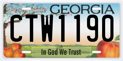 GA license plate CTW1190
