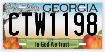 GA license plate CTW1198