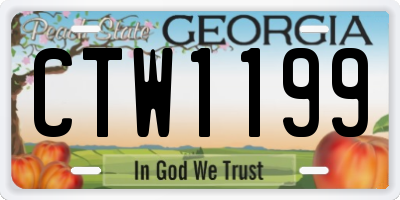 GA license plate CTW1199