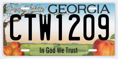 GA license plate CTW1209