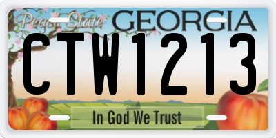 GA license plate CTW1213