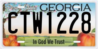 GA license plate CTW1228