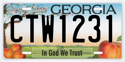 GA license plate CTW1231