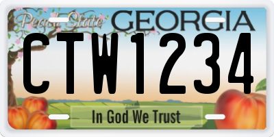 GA license plate CTW1234