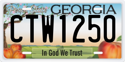 GA license plate CTW1250