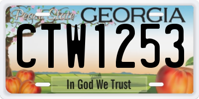 GA license plate CTW1253