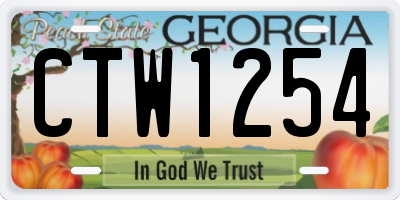 GA license plate CTW1254