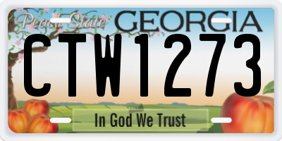 GA license plate CTW1273
