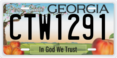 GA license plate CTW1291
