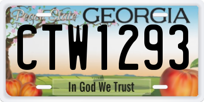 GA license plate CTW1293