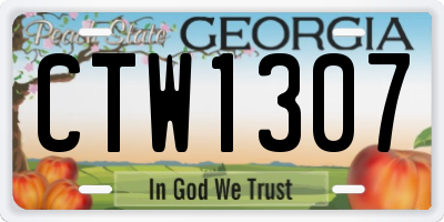 GA license plate CTW1307