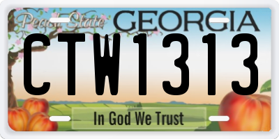 GA license plate CTW1313