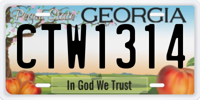 GA license plate CTW1314