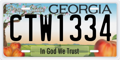 GA license plate CTW1334