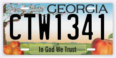 GA license plate CTW1341