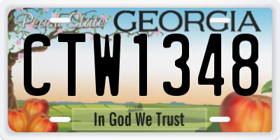 GA license plate CTW1348