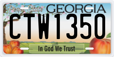 GA license plate CTW1350