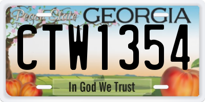 GA license plate CTW1354