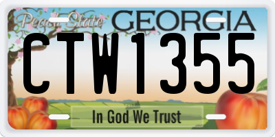 GA license plate CTW1355