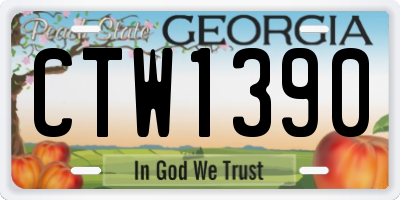 GA license plate CTW1390