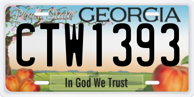 GA license plate CTW1393