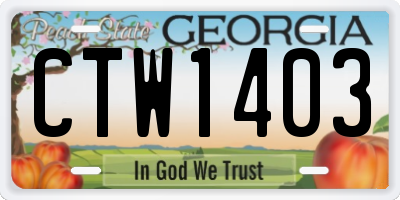 GA license plate CTW1403