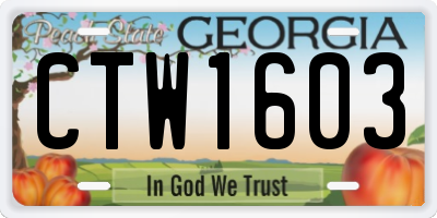 GA license plate CTW1603