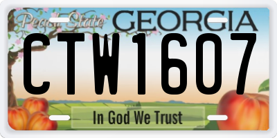 GA license plate CTW1607