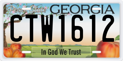 GA license plate CTW1612