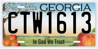 GA license plate CTW1613