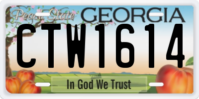 GA license plate CTW1614