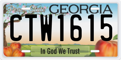 GA license plate CTW1615