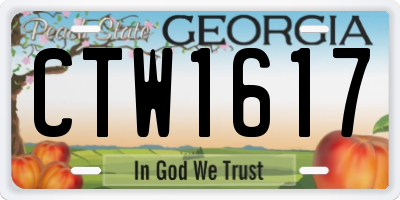 GA license plate CTW1617