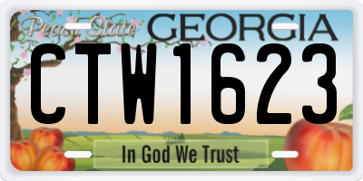 GA license plate CTW1623