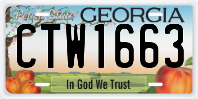 GA license plate CTW1663