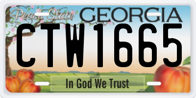 GA license plate CTW1665