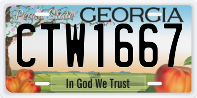 GA license plate CTW1667