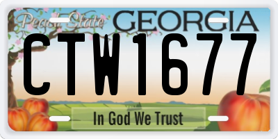 GA license plate CTW1677
