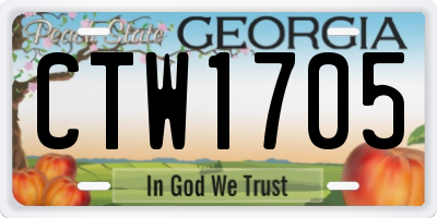 GA license plate CTW1705