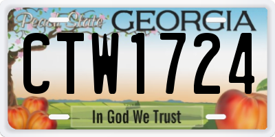 GA license plate CTW1724