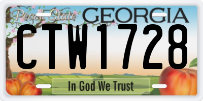 GA license plate CTW1728