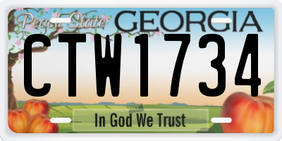 GA license plate CTW1734