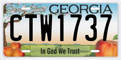 GA license plate CTW1737