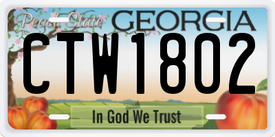 GA license plate CTW1802