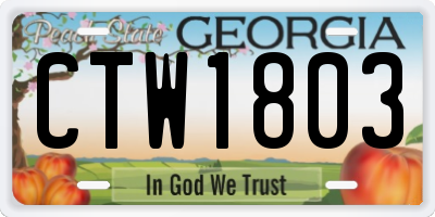 GA license plate CTW1803
