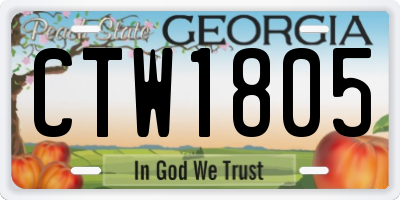 GA license plate CTW1805