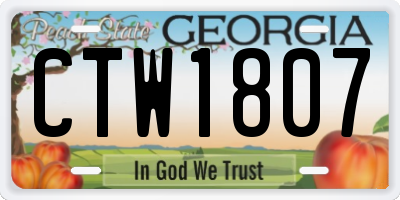 GA license plate CTW1807