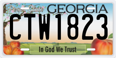 GA license plate CTW1823