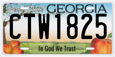 GA license plate CTW1825